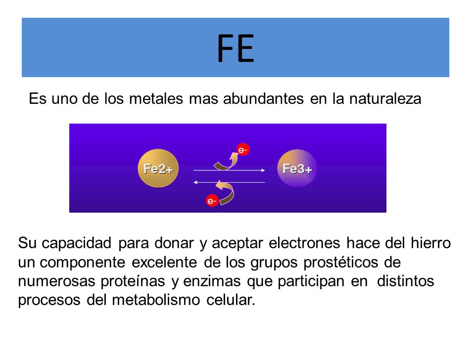 FE Es uno de los metales mas abundantes en la naturaleza