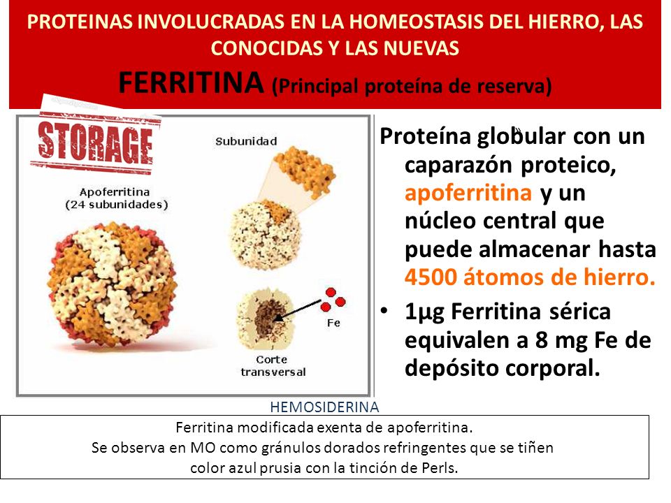 1µg Ferritina sérica equivalen a 8 mg Fe de depósito corporal.