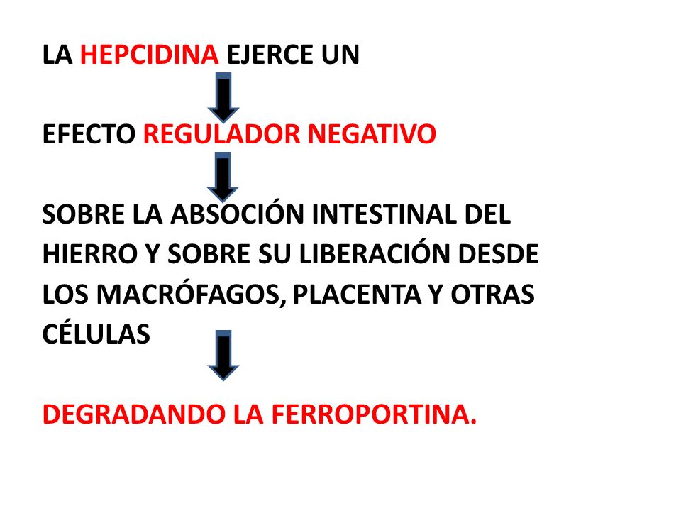 LA HEPCIDINA EJERCE UN EFECTO REGULADOR NEGATIVO. SOBRE LA ABSOCIÓN INTESTINAL DEL. HIERRO Y SOBRE SU LIBERACIÓN DESDE.