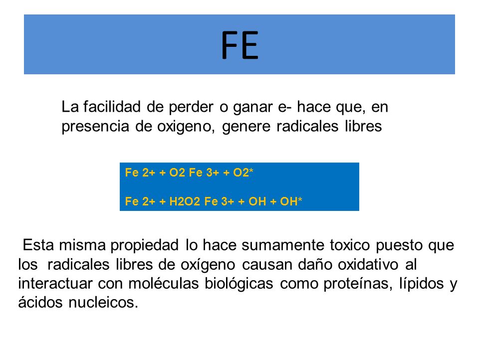 FE La facilidad de perder o ganar e- hace que, en presencia de oxigeno, genere radicales libres. Fe 2+ + O2 Fe 3+ + O2*