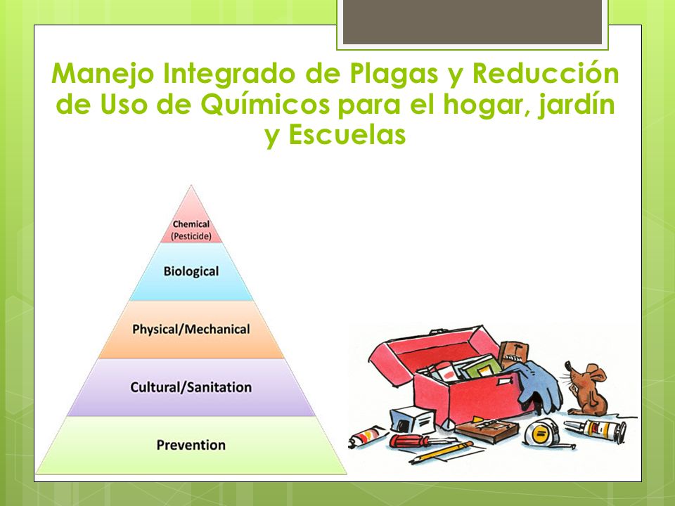 Manejo Integrado de Plagas y Reducción de Uso de Químicos para el hogar, jardín y Escuelas