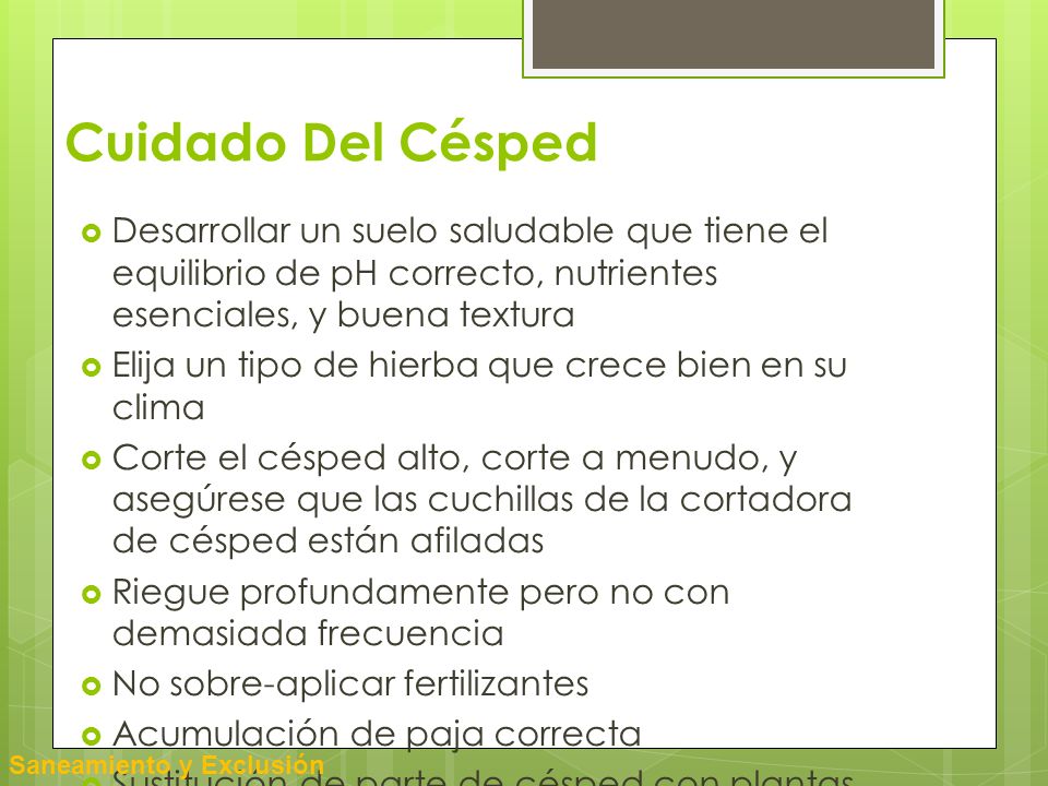 Cuidado Del Césped Desarrollar un suelo saludable que tiene el equilibrio de pH correcto, nutrientes esenciales, y buena textura.