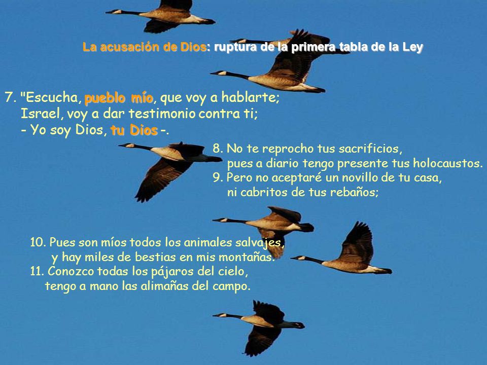 La acusación de Dios: ruptura de la primera tabla de la Ley