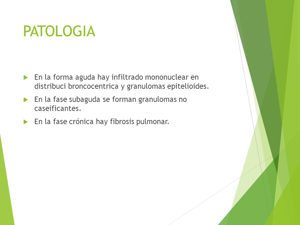 PATOLOGIA En la forma aguda hay infiltrado mononuclear en distribuci broncocentrica y granulomas epitelioides.