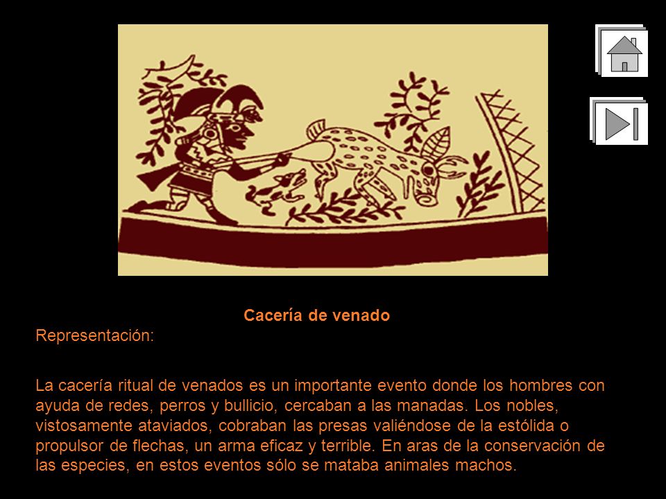 Cacería de venado Representación: