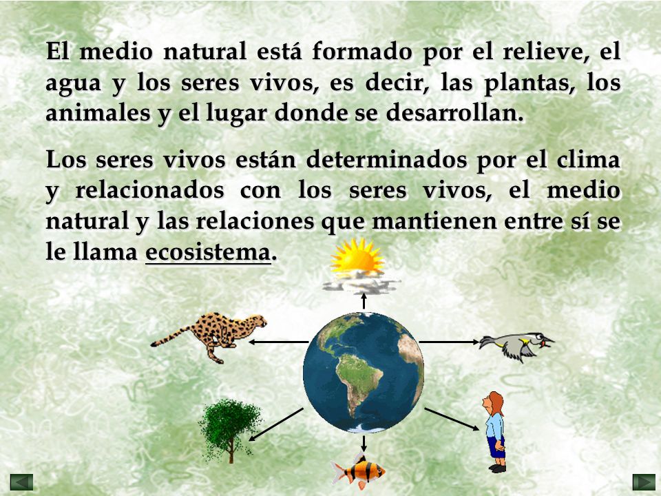 El medio natural está formado por el relieve, el agua y los seres vivos, es decir, las plantas, los animales y el lugar donde se desarrollan.