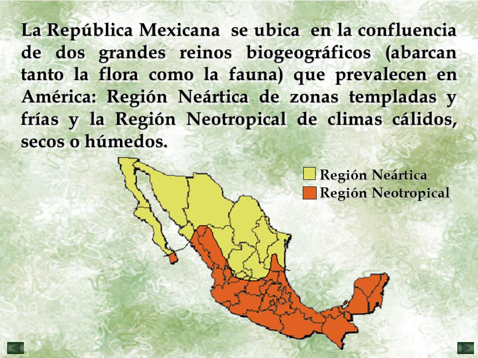 La República Mexicana se ubica en la confluencia de dos grandes reinos biogeográficos (abarcan tanto la flora como la fauna) que prevalecen en América: Región Neártica de zonas templadas y frías y la Región Neotropical de climas cálidos, secos o húmedos.
