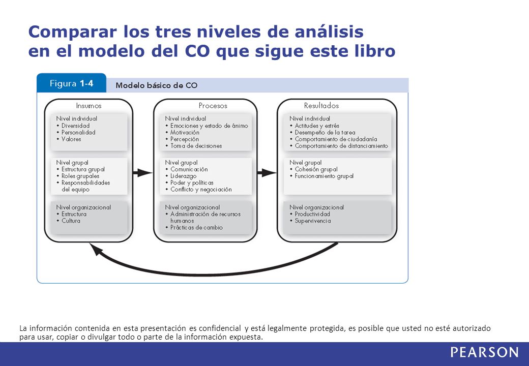 Comparar los tres niveles de análisis en el modelo del CO que sigue este libro
