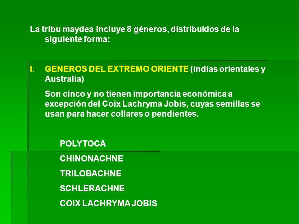 La tribu maydea incluye 8 géneros, distribuidos de la siguiente forma: