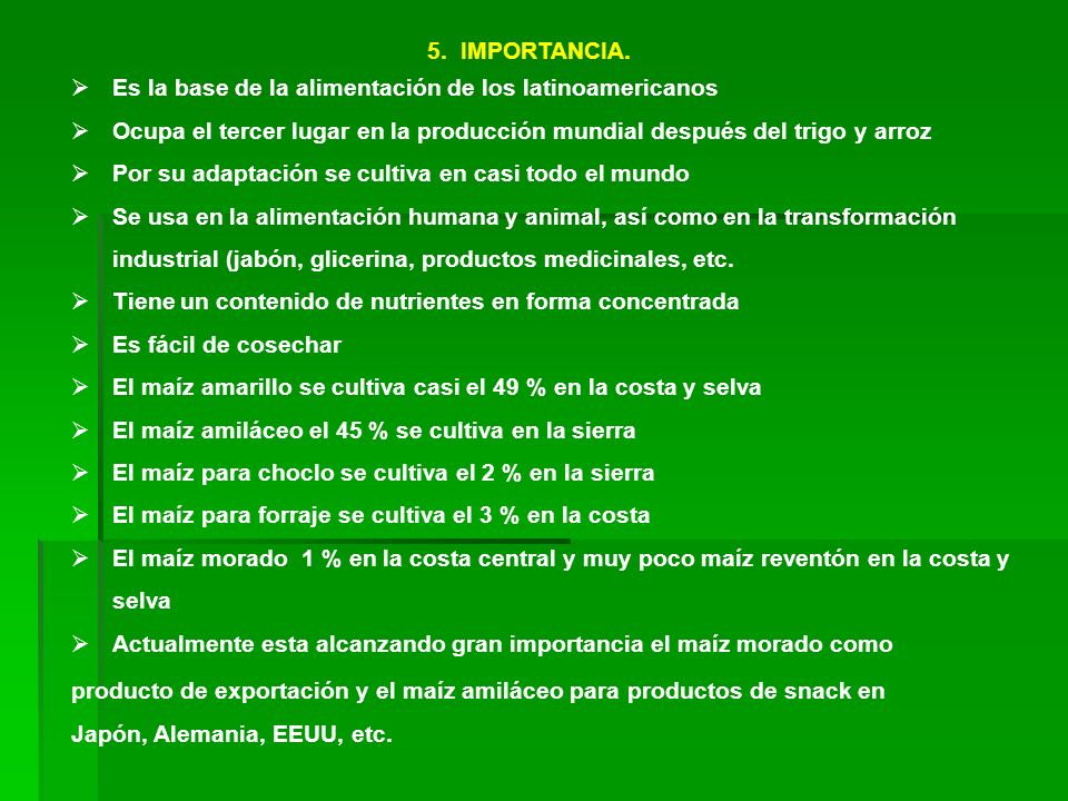 IMPORTANCIA. Es la base de la alimentación de los latinoamericanos. Ocupa el tercer lugar en la producción mundial después del trigo y arroz.