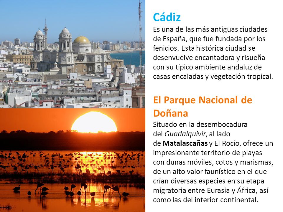 Cádiz Es una de las más antiguas ciudades de España, que fue fundada por los fenicios. Esta histórica ciudad se desenvuelve encantadora y risueña con su típico ambiente andaluz de casas encaladas y vegetación tropical.