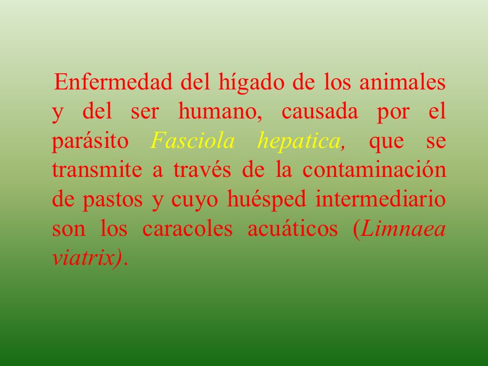 Enfermedad del hígado de los animales y del ser humano, causada por el parásito Fasciola hepatica, que se transmite a través de la contaminación de pastos y cuyo huésped intermediario son los caracoles acuáticos (Limnaea viatrix).
