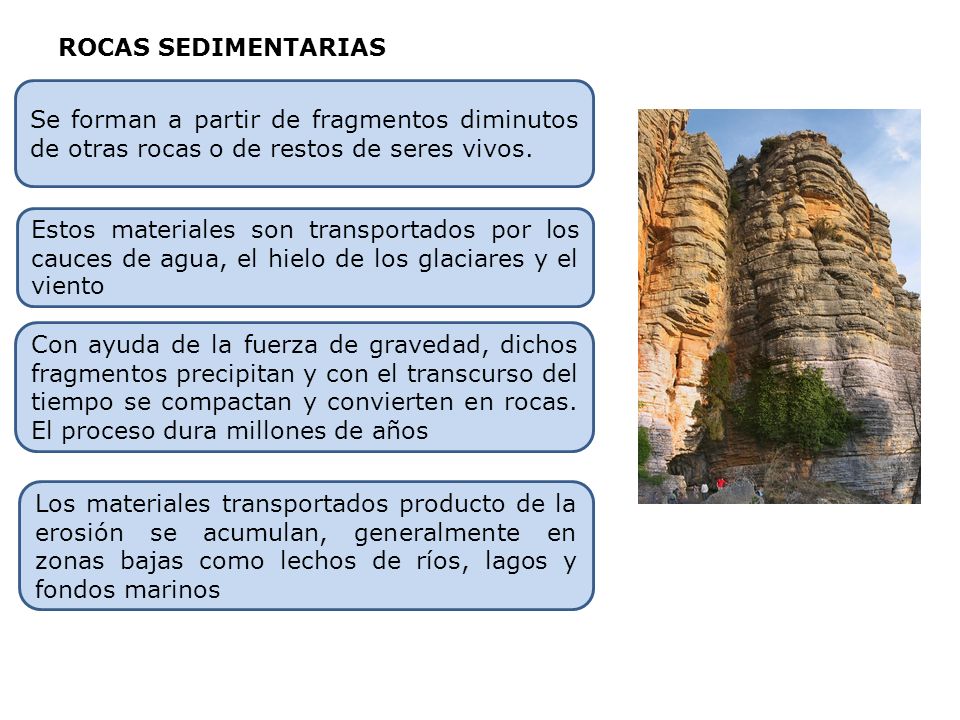 ROCAS SEDIMENTARIAS Se forman a partir de fragmentos diminutos de otras rocas o de restos de seres vivos.