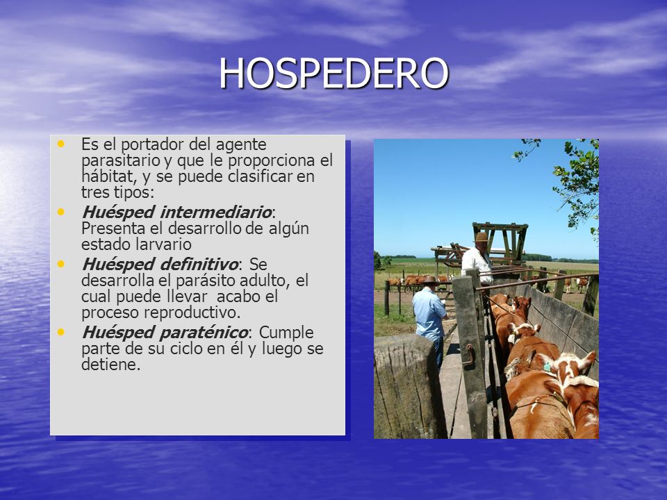 HOSPEDERO Es el portador del agente parasitario y que le proporciona el hábitat, y se puede clasificar en tres tipos: