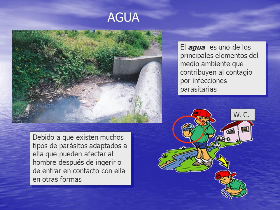 AGUA El agua es uno de los principales elementos del medio ambiente que contribuyen al contagio por infecciones parasitarias.