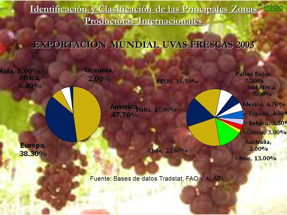 inicio Identificación y Clasificación de las Principales Zonas Productoras Internacionales EXPORTACION MUNDIAL UVAS FRESCAS
