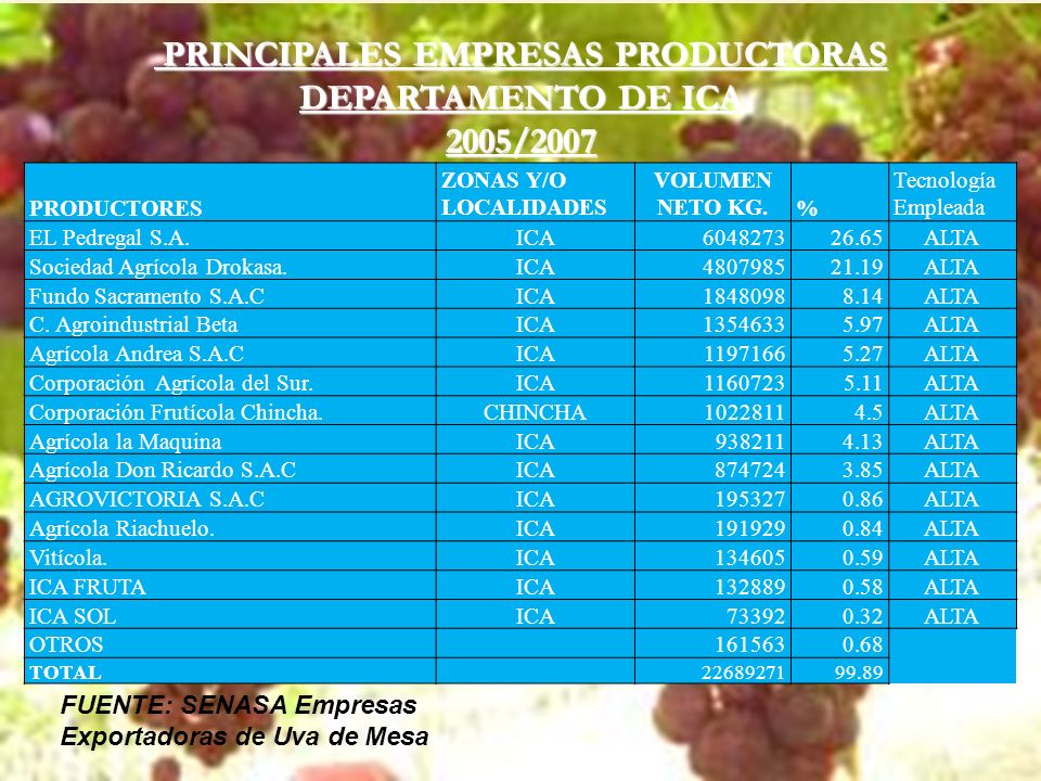 PRINCIPALES EMPRESAS PRODUCTORAS DEPARTAMENTO DE ICA 2005/2007