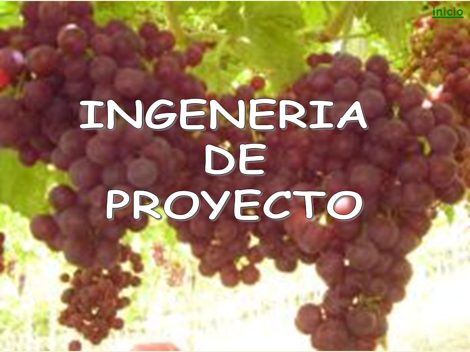 inicio INGENERIA DE PROYECTO