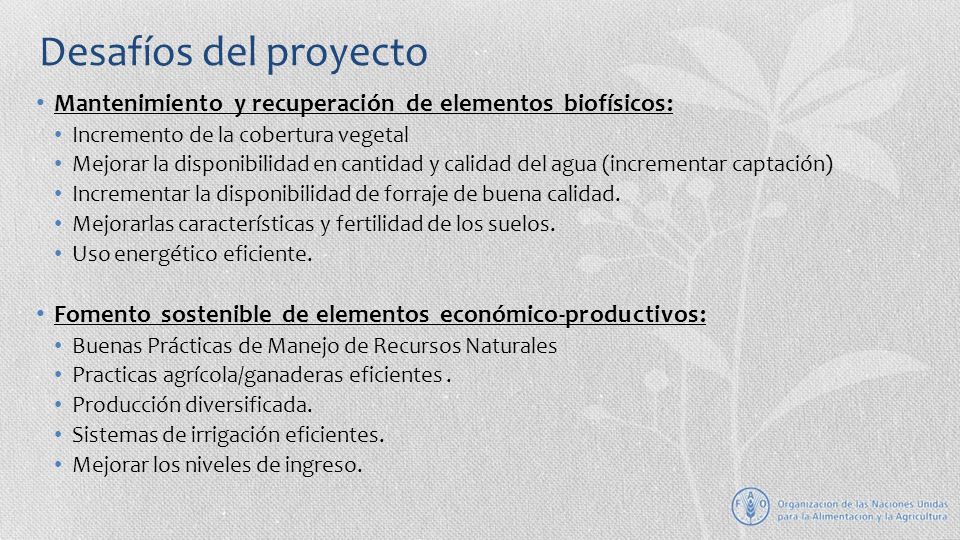 Desafíos del proyecto Mantenimiento y recuperación de elementos biofísicos: Incremento de la cobertura vegetal.