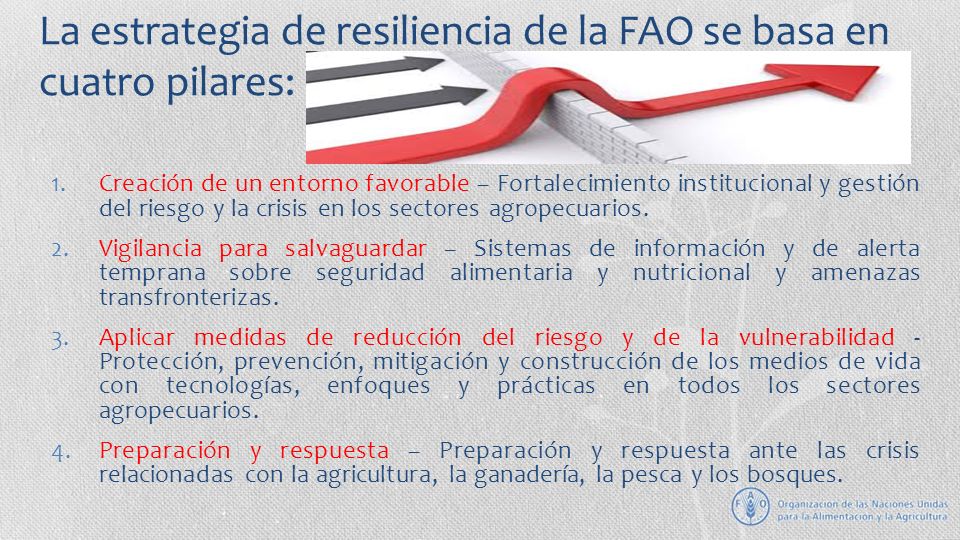 La estrategia de resiliencia de la FAO se basa en cuatro pilares: