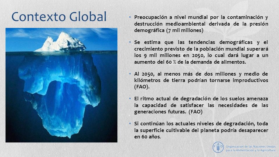 Contexto Global Preocupación a nivel mundial por la contaminación y destrucción medioambiental derivada de la presión demográfica (7 mil millones)