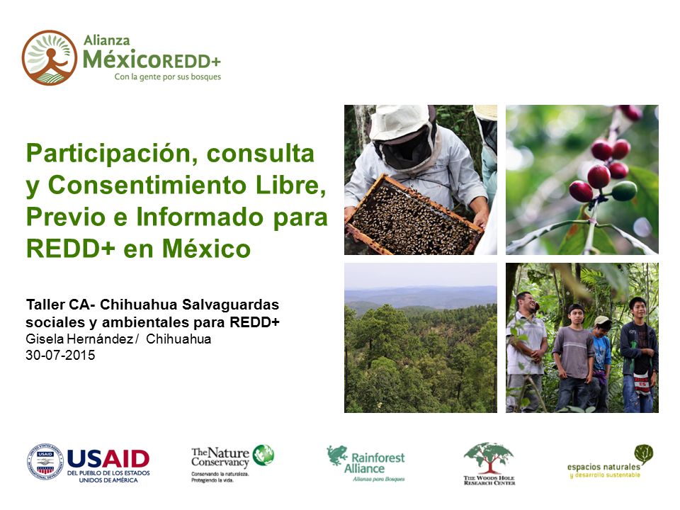 Participación, consulta y Consentimiento Libre, Previo e Informado para REDD+ en México