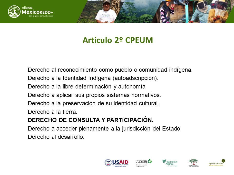 Artículo 2º CPEUM Derecho al reconocimiento como pueblo o comunidad indígena. Derecho a la Identidad Indígena (autoadscripción).