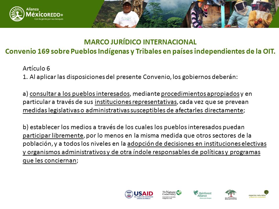 MARCO JURÍDICO INTERNACIONAL Convenio 169 sobre Pueblos Indígenas y Tribales en países independientes de la OIT.