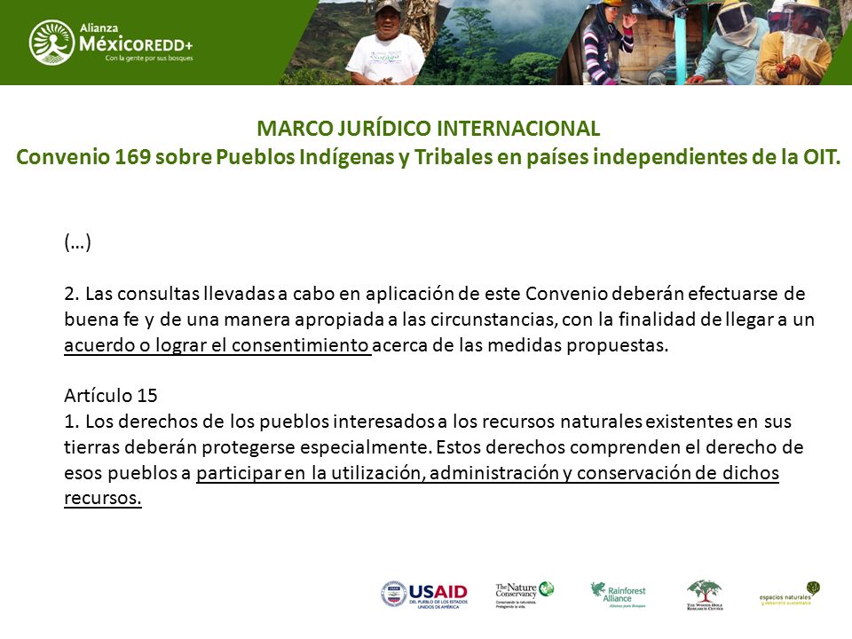 MARCO JURÍDICO INTERNACIONAL Convenio 169 sobre Pueblos Indígenas y Tribales en países independientes de la OIT.