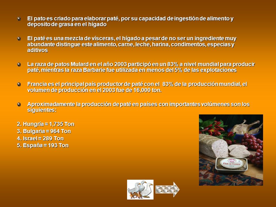 El pato es criado para elaborar paté, por su capacidad de ingestión de alimento y deposito de grasa en el hígado