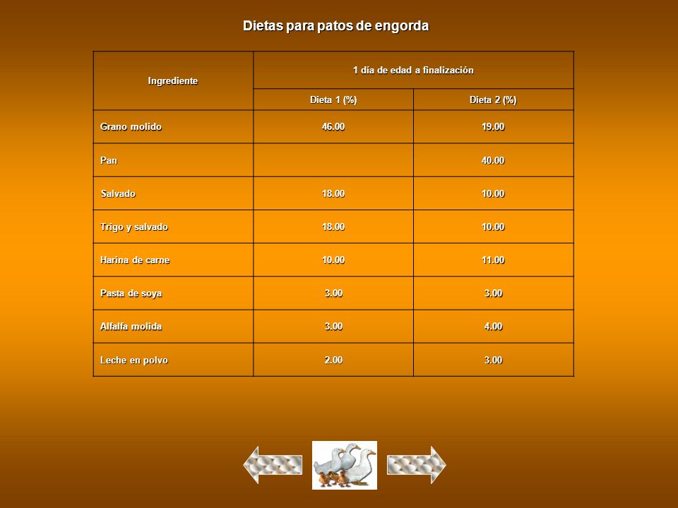Dietas para patos de engorda 1 día de edad a finalización