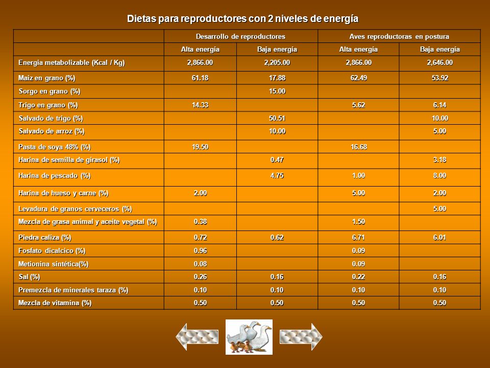 Dietas para reproductores con 2 niveles de energía