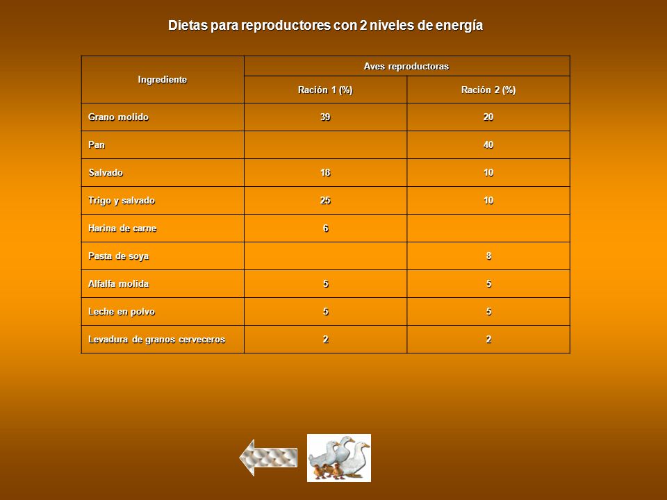 Dietas para reproductores con 2 niveles de energía