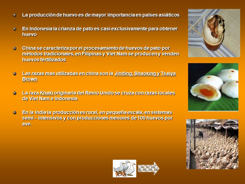 La producción de huevo es de mayor importancia en países asiáticos