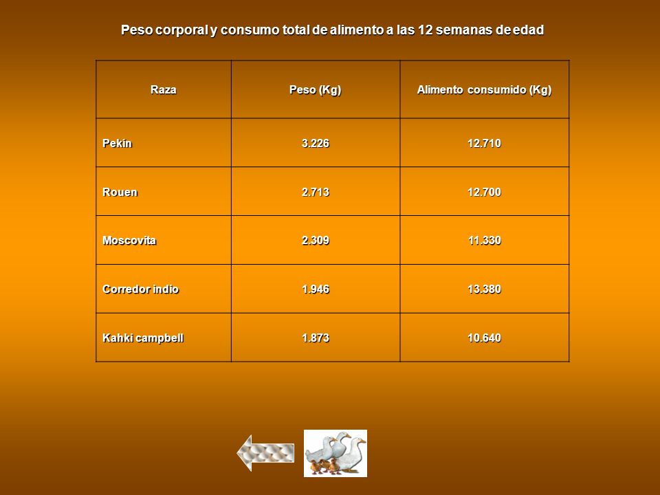 Peso corporal y consumo total de alimento a las 12 semanas de edad