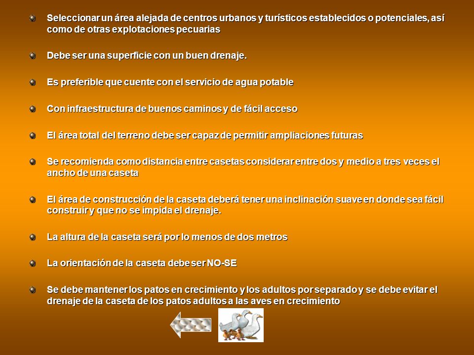 Seleccionar un área alejada de centros urbanos y turísticos establecidos o potenciales, así como de otras explotaciones pecuarias