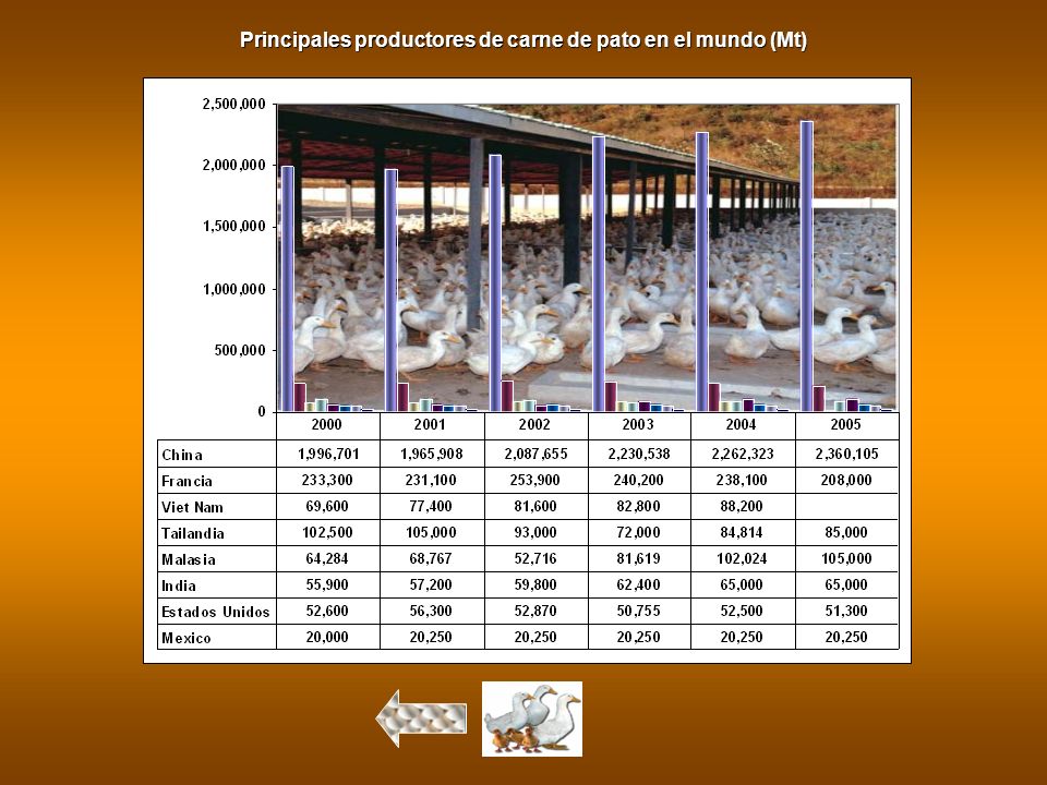 Principales productores de carne de pato en el mundo (Mt)