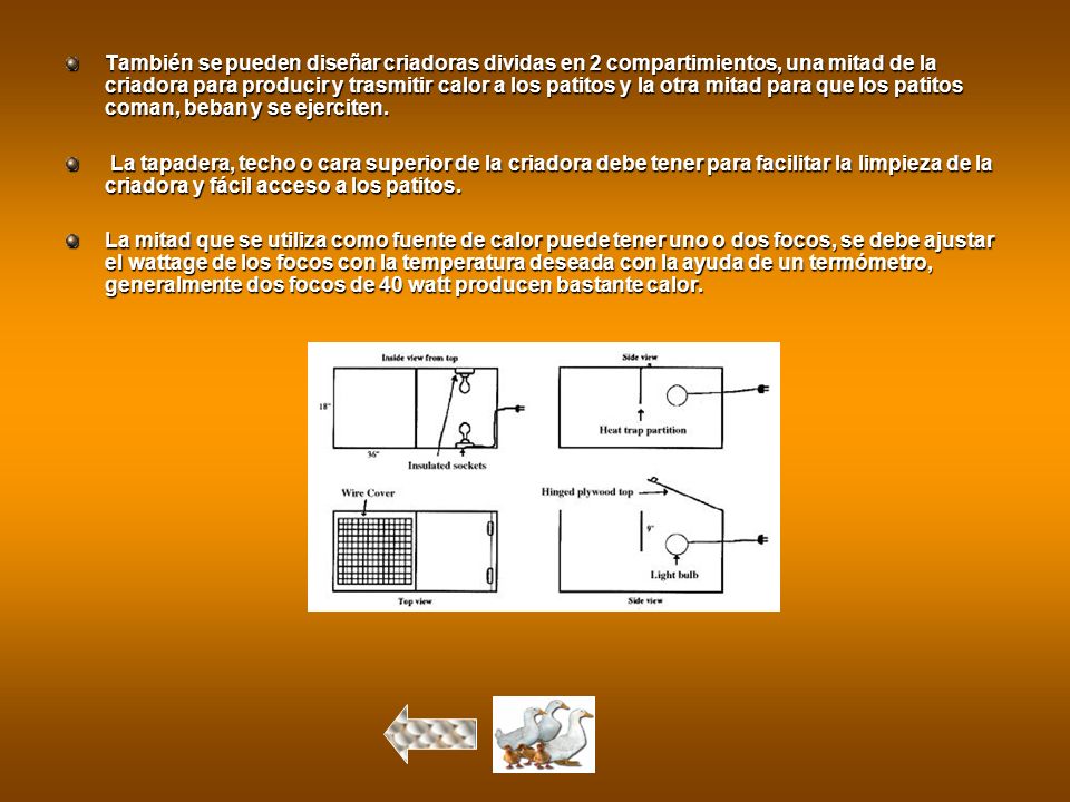 También se pueden diseñar criadoras dividas en 2 compartimientos, una mitad de la criadora para producir y trasmitir calor a los patitos y la otra mitad para que los patitos coman, beban y se ejerciten.
