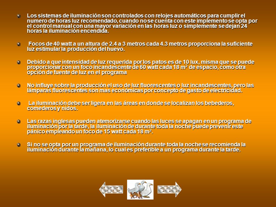 Los sistemas de iluminación son controlados con relojes automáticos para cumplir el numero de horas luz recomendado, cuando no se cuenta con este implemento se opta por el control manual con una mayor variación en las horas luz o simplemente se dejan 24 horas la iluminación encendida.