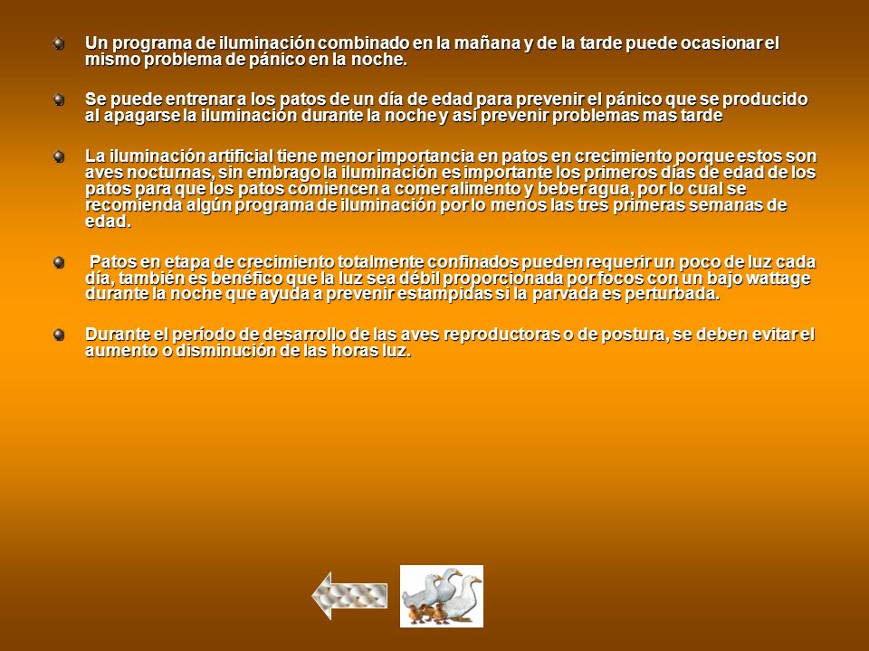 Un programa de iluminación combinado en la mañana y de la tarde puede ocasionar el mismo problema de pánico en la noche.
