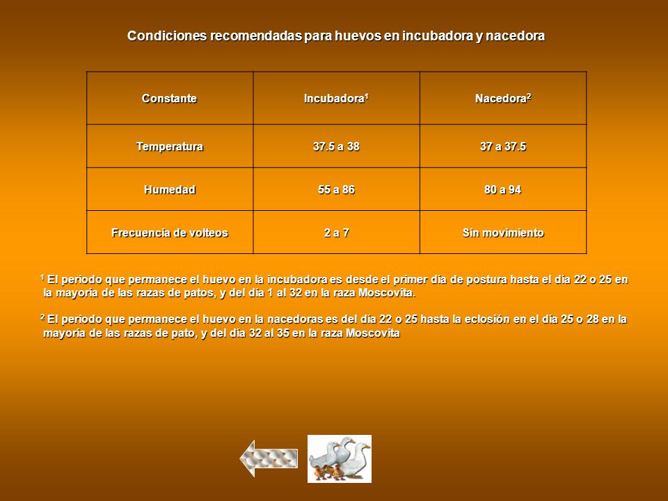 Condiciones recomendadas para huevos en incubadora y nacedora