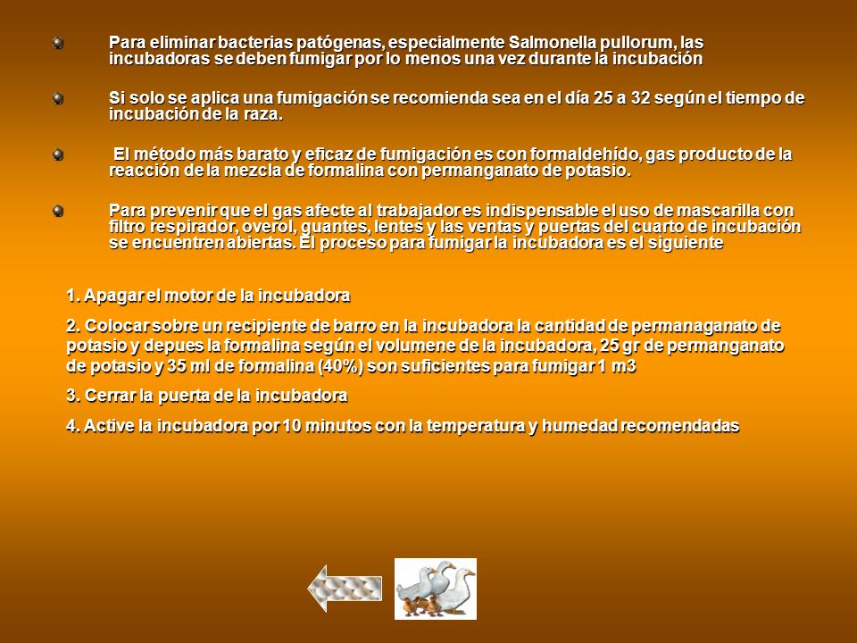 Para eliminar bacterias patógenas, especialmente Salmonella pullorum, las incubadoras se deben fumigar por lo menos una vez durante la incubación