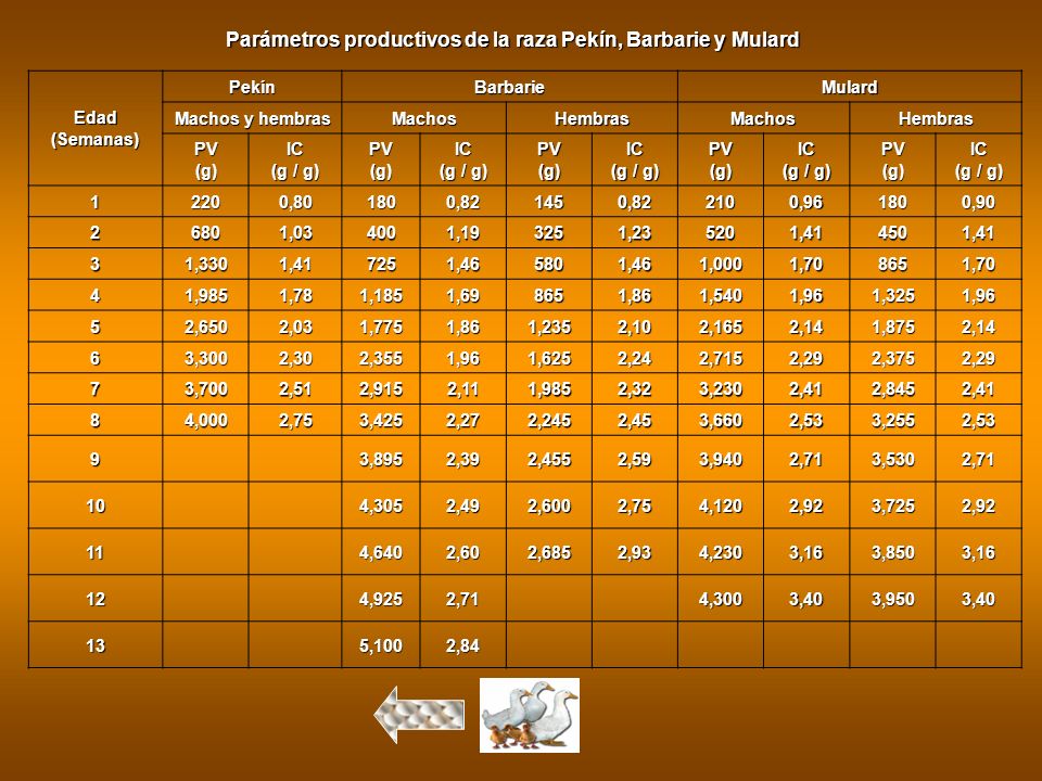 Parámetros productivos de la raza Pekín, Barbarie y Mulard