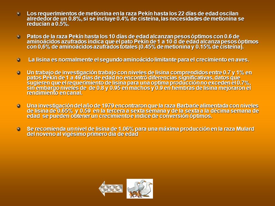 Los requerimientos de metionina en la raza Pekín hasta los 22 días de edad oscilan alrededor de un 0.8%, si se incluye 0.4% de cisteína, las necesidades de metionina se reducían a 0.5%.