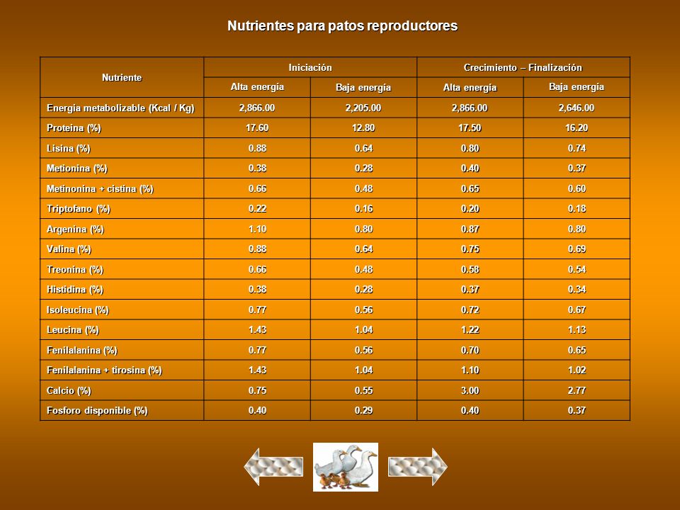 Nutrientes para patos reproductores Crecimiento – Finalización