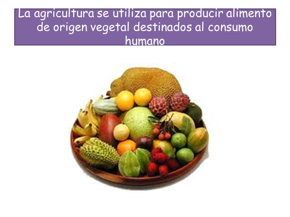 La agricultura se utiliza para producir alimento de origen vegetal destinados al consumo humano