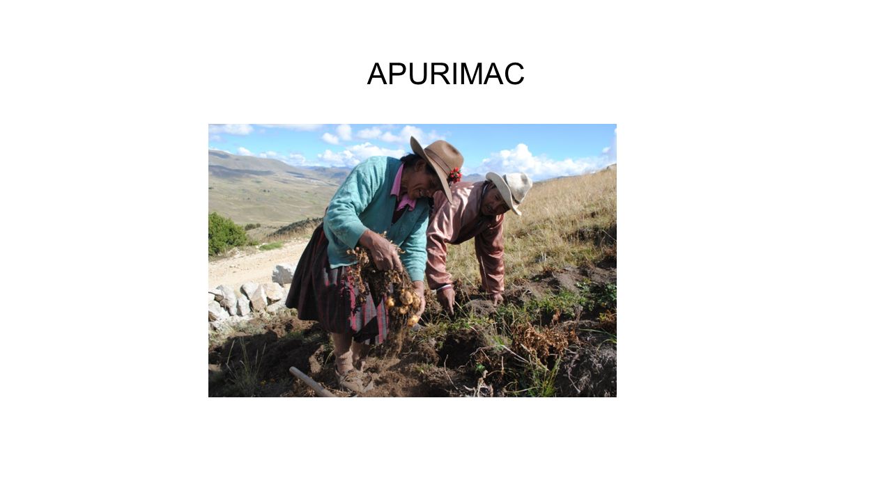 APURIMAC