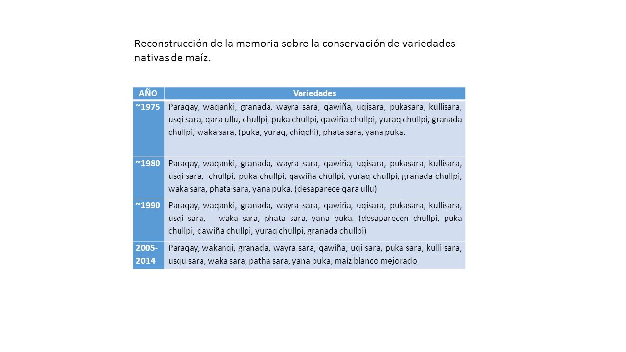 Reconstrucción de la memoria sobre la conservación de variedades nativas de maíz.