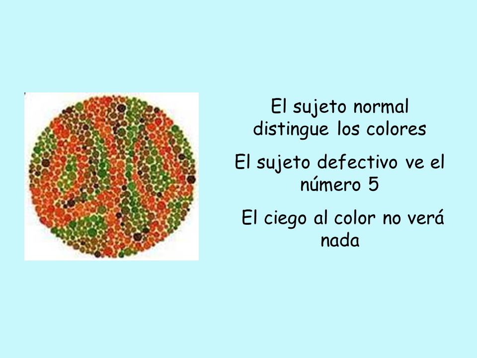 El sujeto normal distingue los colores
