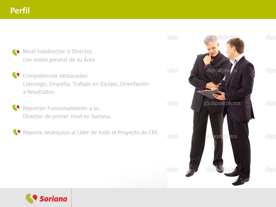 Perfil Nivel Subdirector o Director, con visión general de su Área